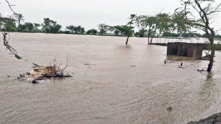 Bihar Monsoon