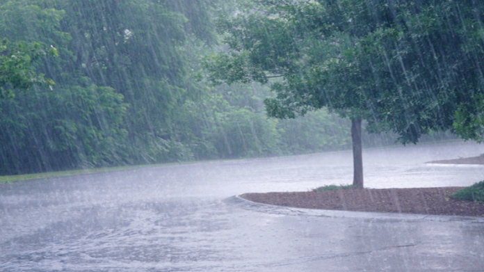 Bihar Weather: Monsoon has reached entire Bihar, possibility of rain with thunder today