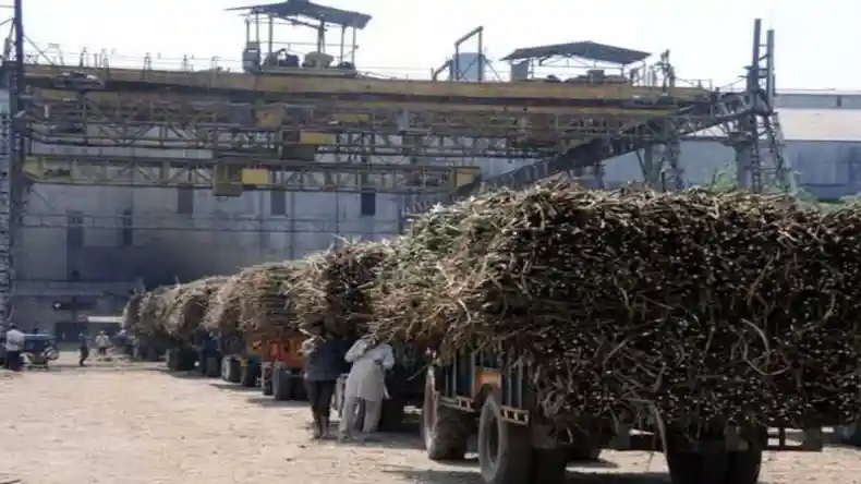 Sugar mill: सालों से बंद चीनी मिल को दोबारा किया चालू, 5 लाख कामगारों को मिलेगा फायदा