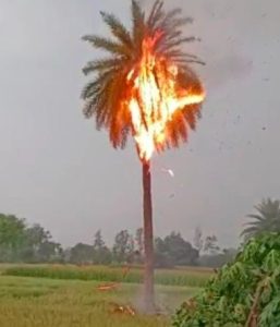 Bihar weather disaster